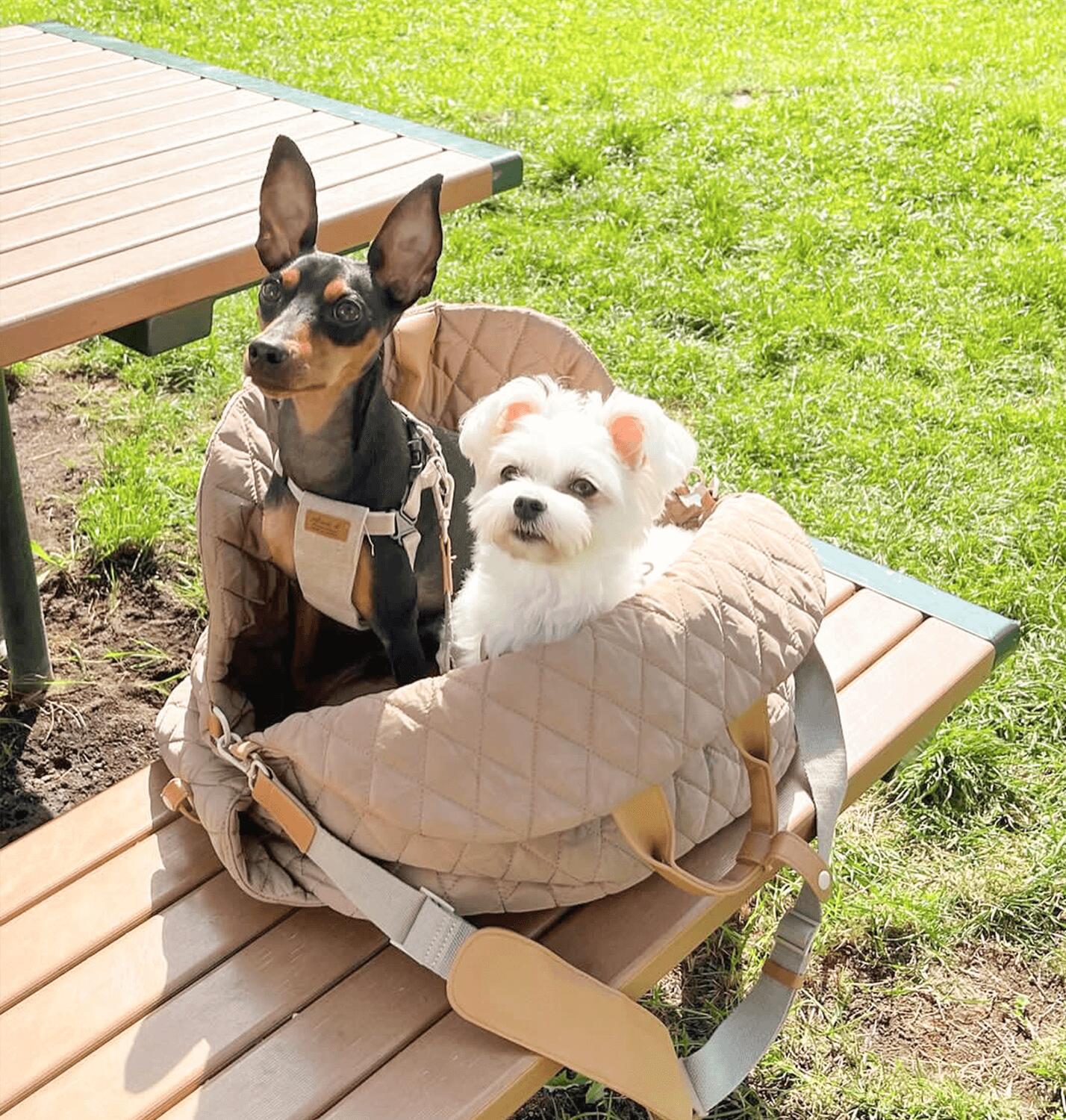 PAWVVY Small Pet Carrier Bag