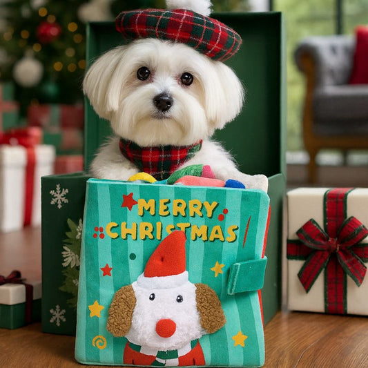 Level 3 Snuffle Activity Book