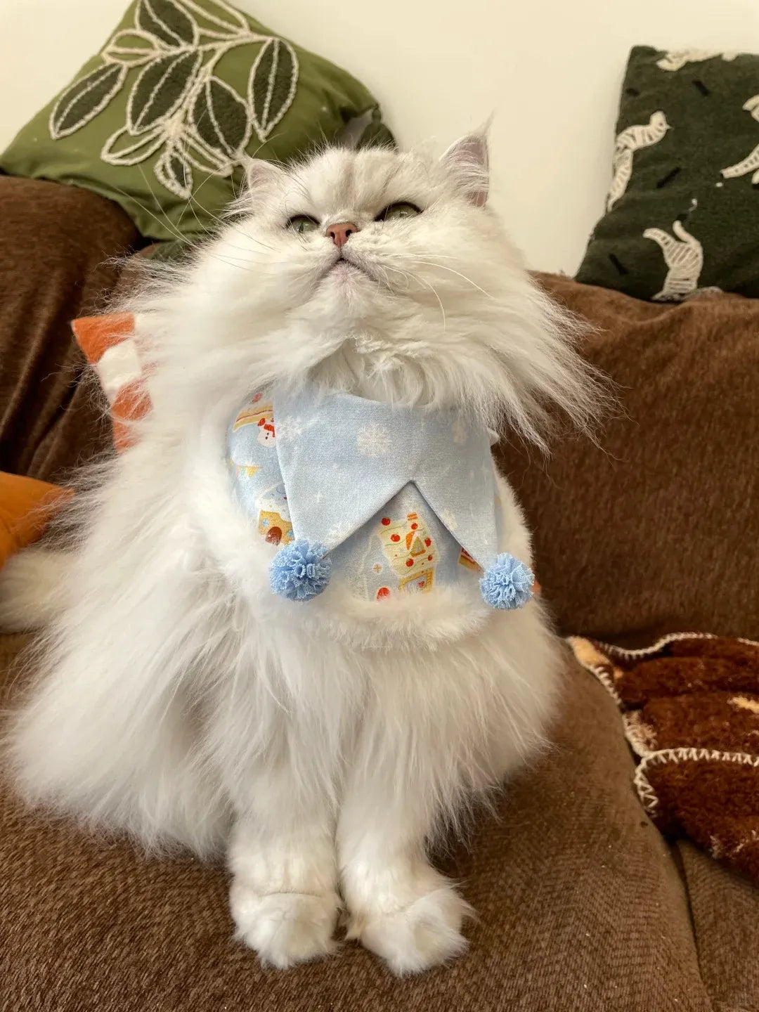 Winter Cake House - Plush Pet Scarf&Bib