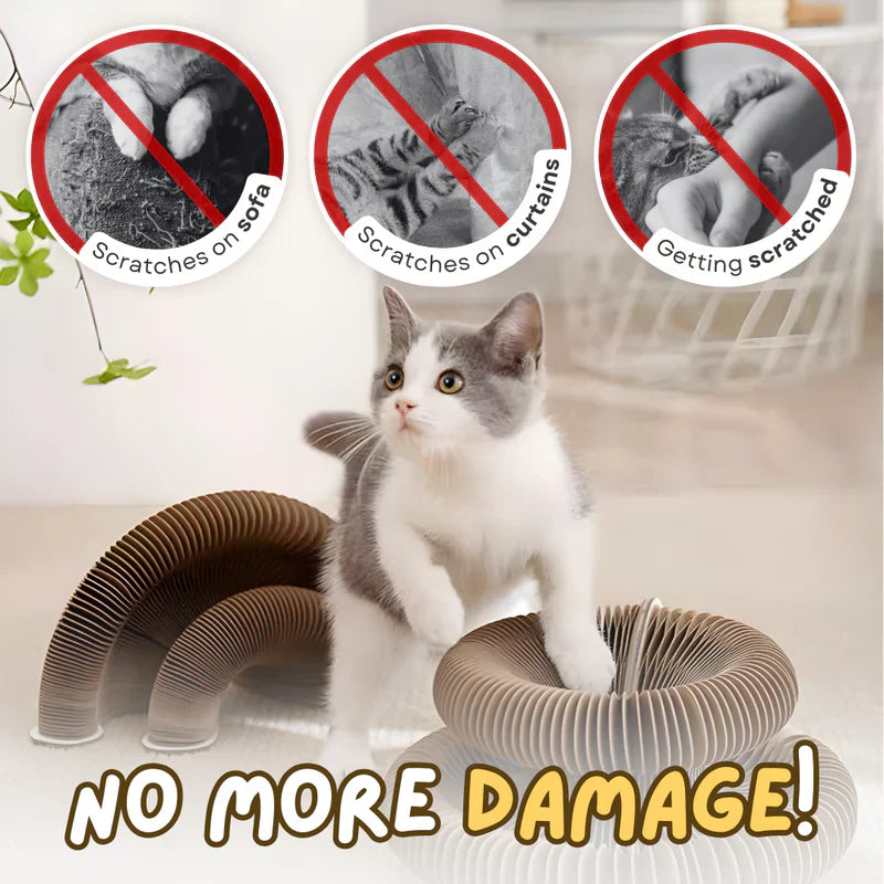 PAWVVY Cat Scratching Ball Toy