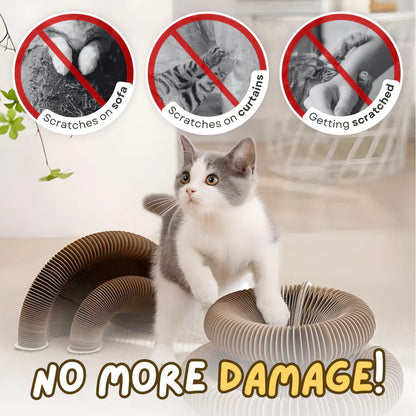 PAWVVY Cat Scratching Ball Toy