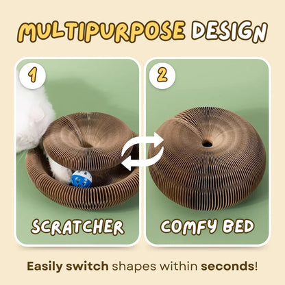 PAWVVY Cat Scratching Ball Toy