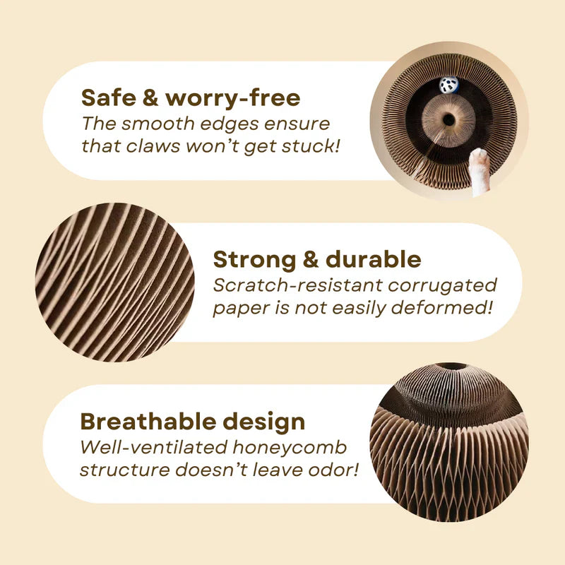 PAWVVY Cat Scratching Ball Toy