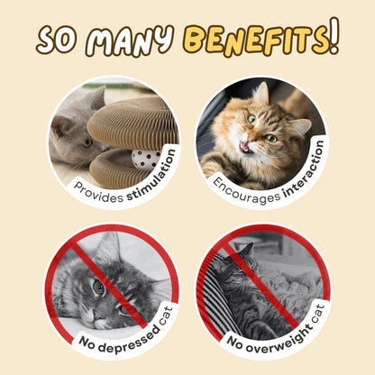 PAWVVY Cat Scratching Ball Toy