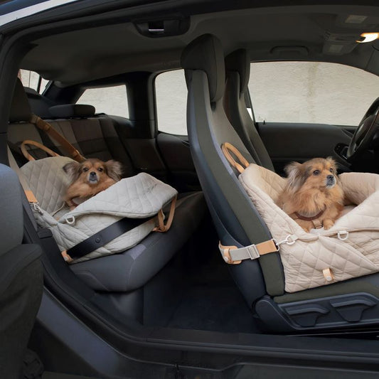 PAWVVY Foldable Pet Carrier Bag