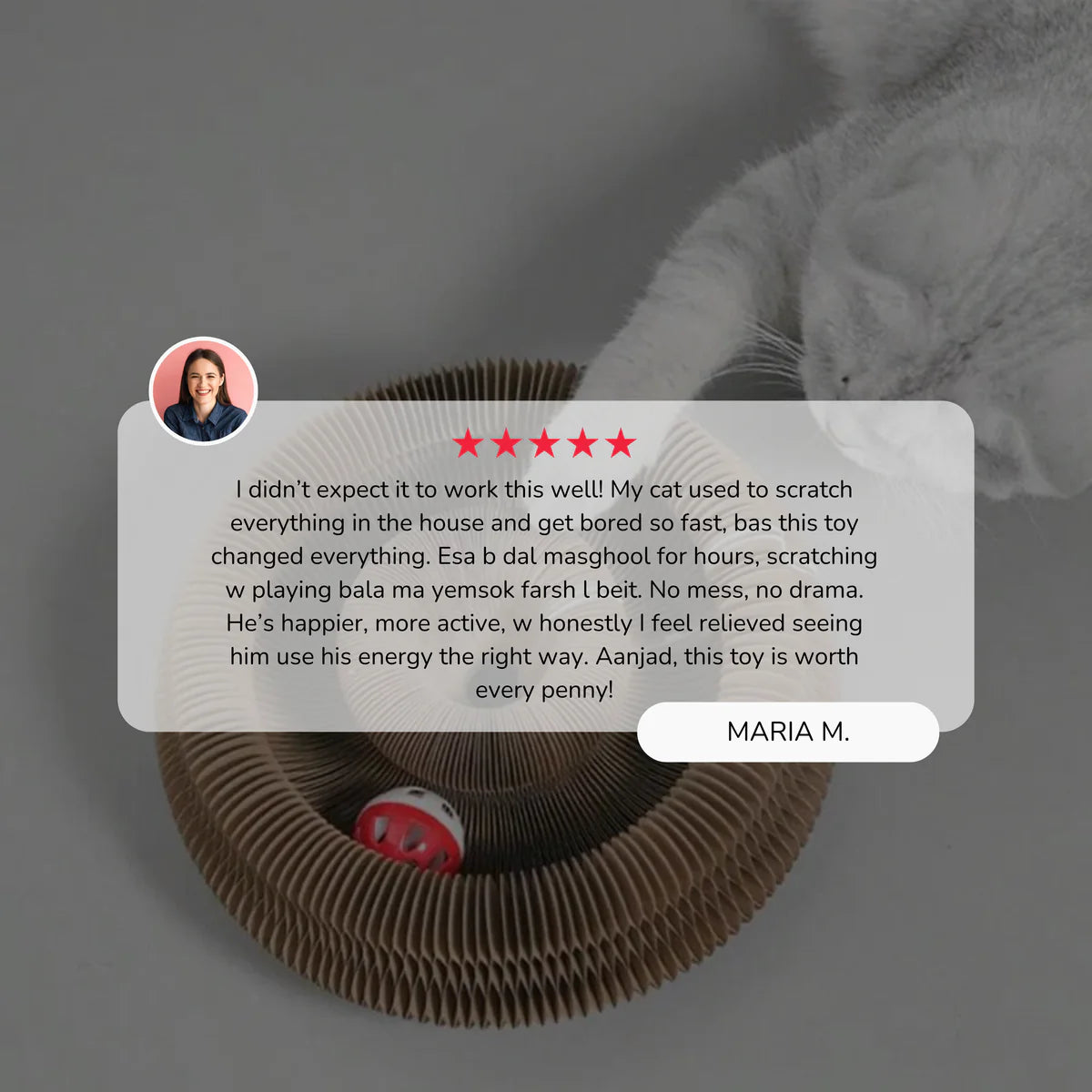 PAWVVY Cat Scratching Ball Toy