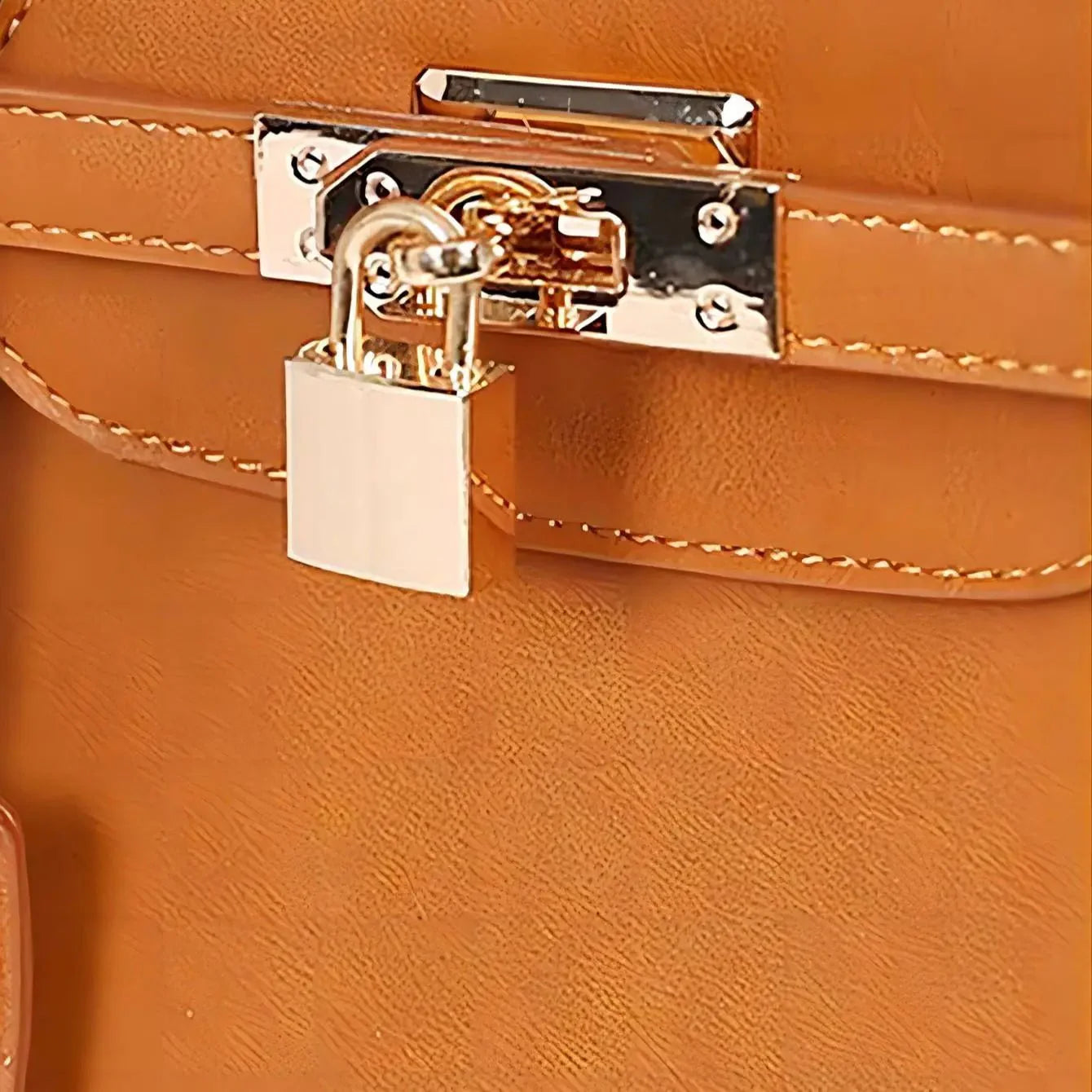 PAWVVY Pet Handbag